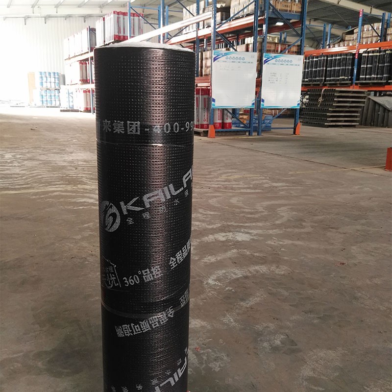 彈性體(SBS)改性瀝青防水卷材與塑性體(APP)改性瀝青防水卷材有什么區別？